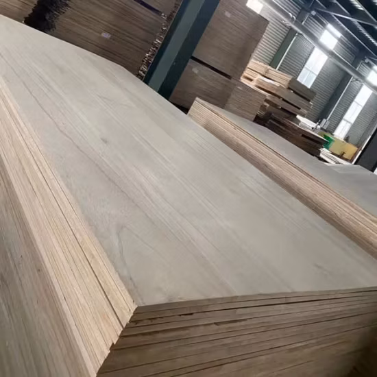 Planche de bois de Paulownia Planches solides de Paulownia pour cercueils